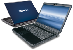 Toshiba Satellite L335D: 17 inch,  2GB RAM, 250gig Hard Drive, Webcam